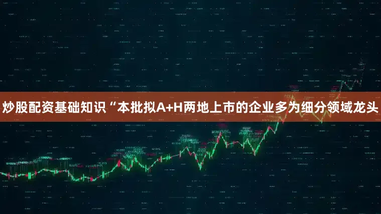 炒股配资基础知识“本批拟A+H两地上市的企业多为细分领域龙头
