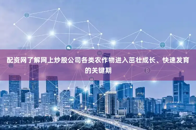 配资网了解网上炒股公司各类农作物进入茁壮成长、快速发育的关键期