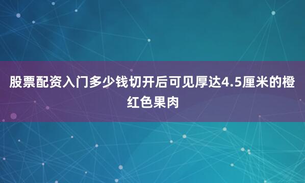 股票配资入门多少钱切开后可见厚达4.5厘米的橙红色果肉